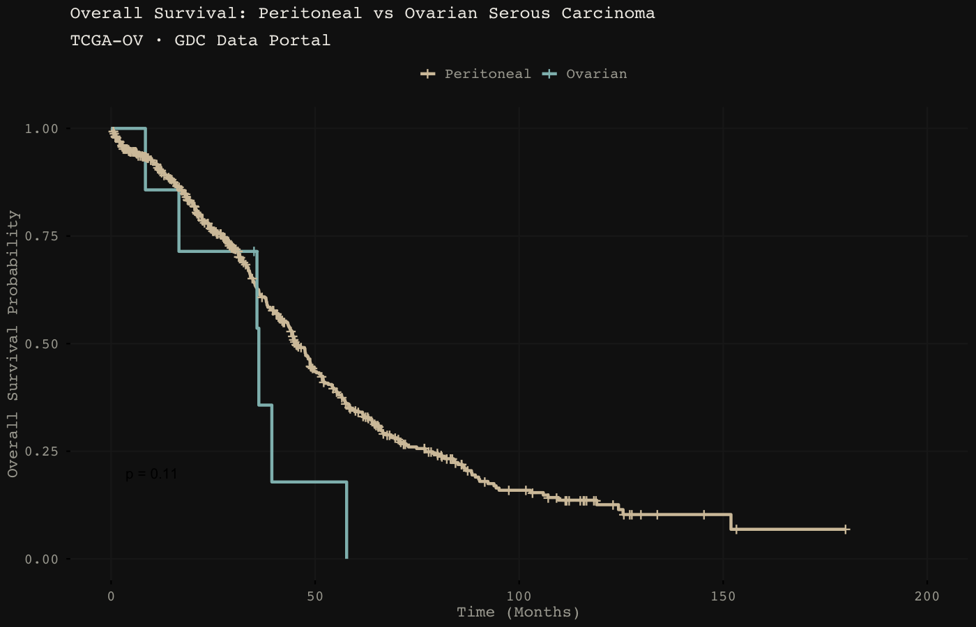 Overall Survival: Peritoneal vs Ovarian Serous Carcinoma